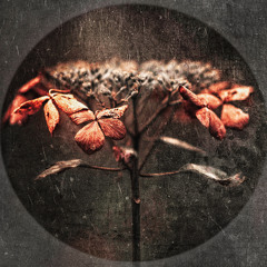 Therapist - The Theory of Incompleteness