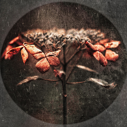 Therapist - The Theory of Incompleteness