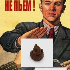 Niekas Nenorėjo Šikti