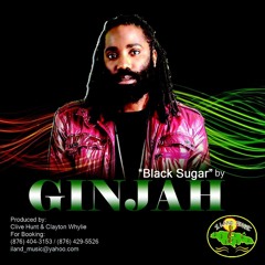 Ginjah - Black Sugar [I Land Music 2015]