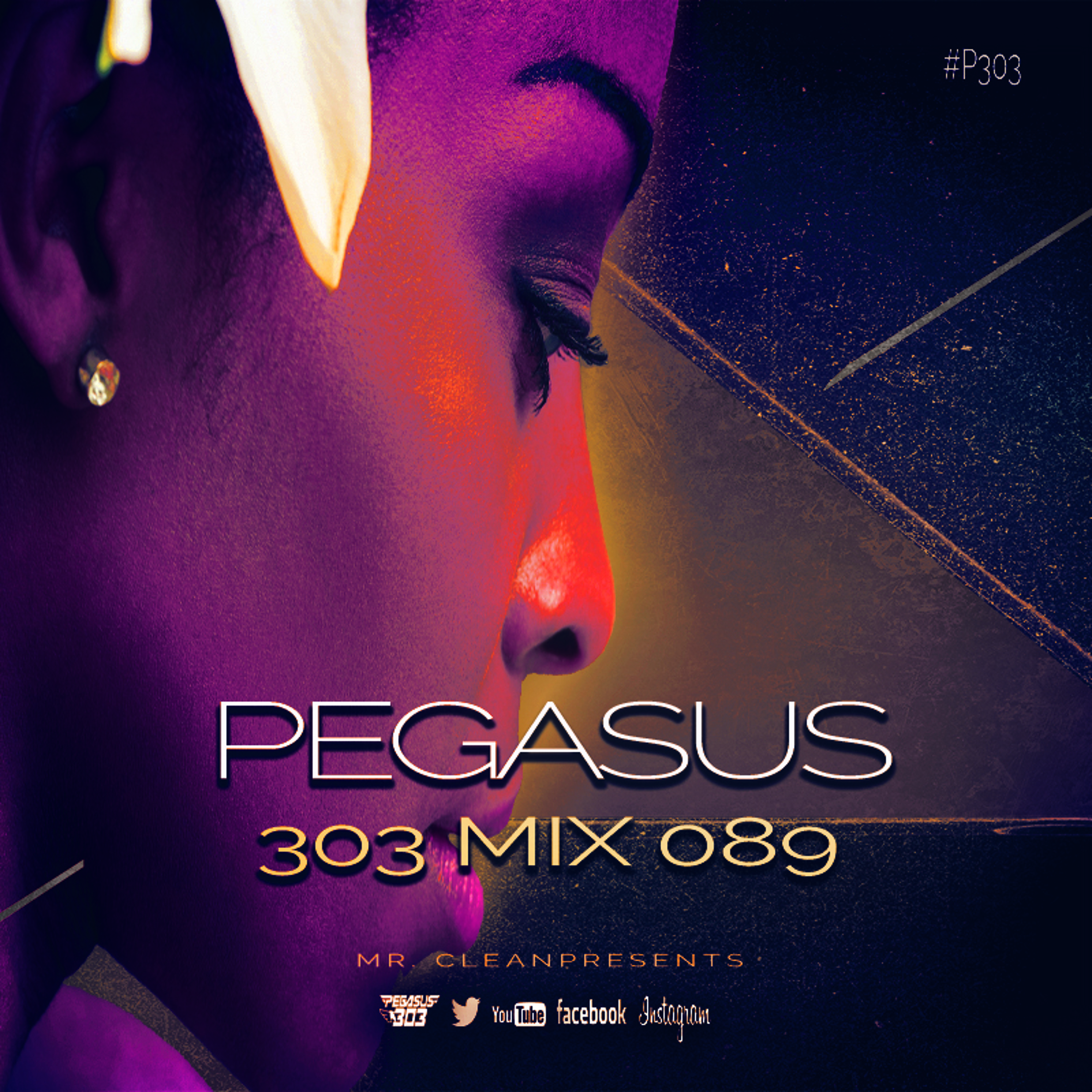 Pegasus 303 (mrclean)