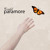 Artwork for Paramore- Careful