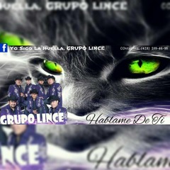 Ya No Vives En Mi ~ Grupo Lince ||Hablame De Ti 2015||