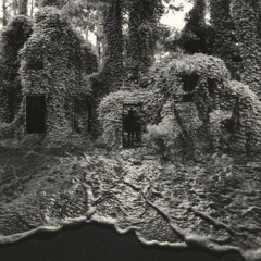 Livin In It (wrealms edit/feat. mariaseliverstova-sirena)