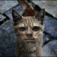 BeatMarihuano CAREGATO