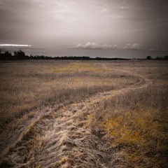 An Unfamiliar Land_#soundhunters