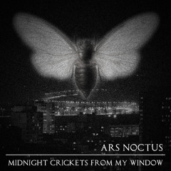 Midnight Crickets From My Window