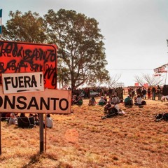 Me Levanto (KIMBALA feat MANU CHAO)