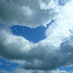 The Man Who Let You Go