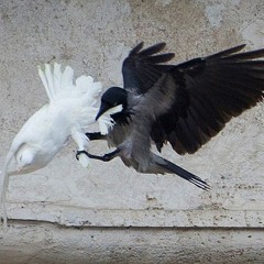 Beauty Of The Gesture - demo