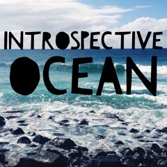Introspective Ocean