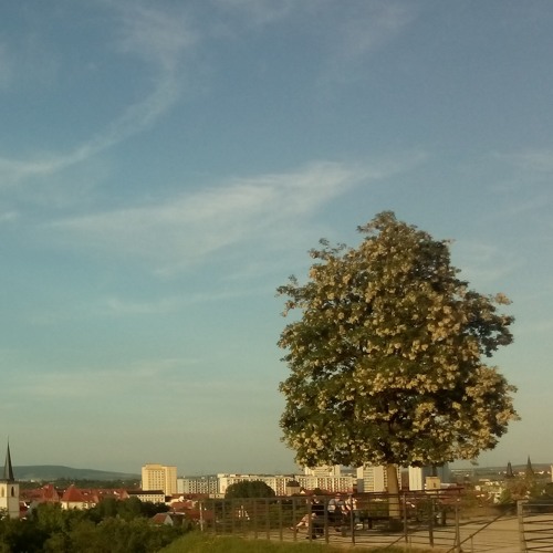 150726 WGD 06 Stefan - Urlaub Ohne WLAN