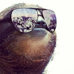 Mr.Smith - Sloth