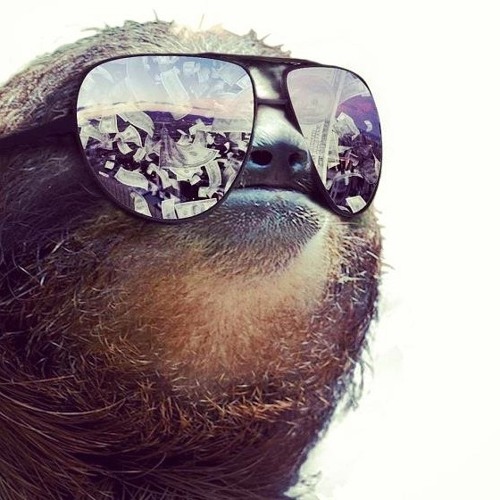 Mr.Smith - Sloth