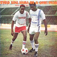 Anthony Red Rose & King Kong - Two Big Bull In A One Pen (Firehouse - Dub Sore Records)