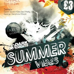 Summer Vibes terrace party