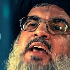 إنت_الروح___محمود_شاهين