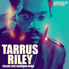 Tarrus Riley Feat Dj Lukagz - Feeling Free Webadub Remix