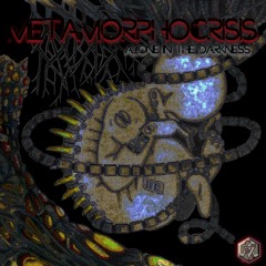 03. Metamorphocrisis -Alone In The Darkness 149