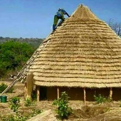 HABIBOU FATAKO FOULBHE