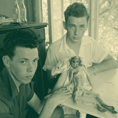 Clip | 'TALES FROM THE CRYPTID' | a B-movie-esque documentary about fabulous hoaxes