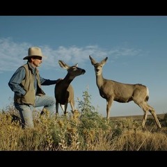 I Will Go Away - Touching The Wild