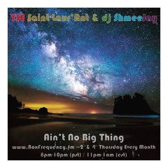 YSE Saint Laur'Ant & dj ShmeeJay - Ain't No Big Thing - 2015-07-23