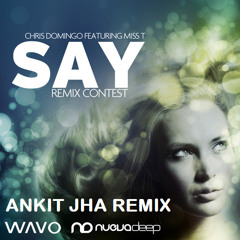 Chris Domingo Feat. Miss T - Say - (Ankit Jha Remix)