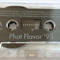 phat flavor '93