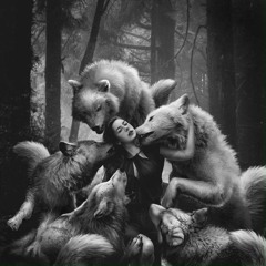 Dubstep/Trap [playlist]