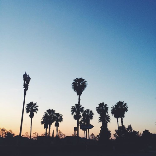 sue slides on instrumentals