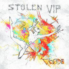 06. Vospi - Got STOLEN