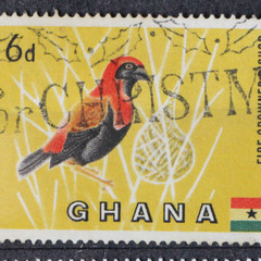 Postal Workers Canceling Stamps At The University Of Ghana Post Office