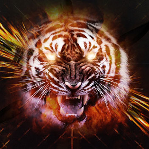 Sprinky - Survivor -- *Free Download* -- (Thank you for 2000 FB likes)