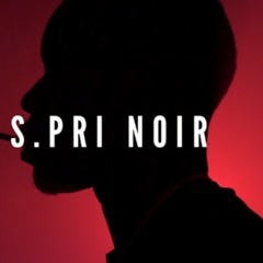 S.Pri Noir Ft. Lydia D - Kestupeufaire