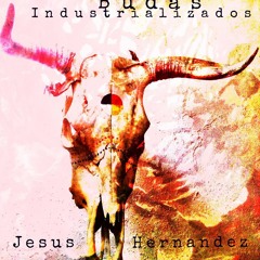 Budas industrializados - Jesus Hernández