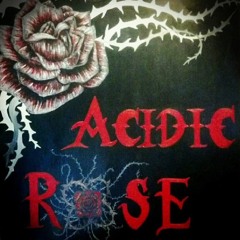 Painted Rose (Acoustic)