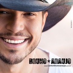 Eu, ela e a amiga dela - Bruno Araujo