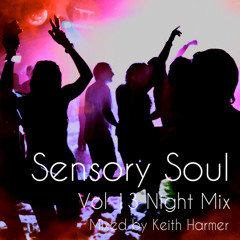Sensory Soul Vol 13 Night Mix - Keith Harmer