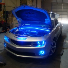 Bushido - Butterfly Effect