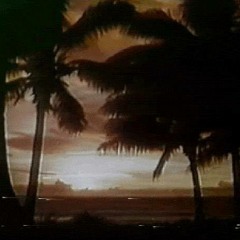 SUNSET 日没ドライブ 1984