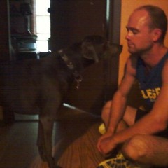 Wolverine In The House