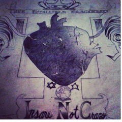 28/08 Insane Not Crazy J.Doe $ A.D