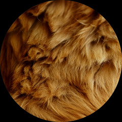 Pezzner - Cognac