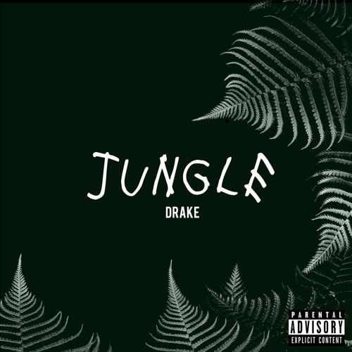 Drake - Jungle LYRICS iPhone Case for Sale by isabellexvcl