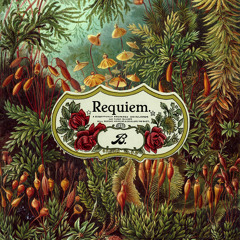 Braeden Bailey - church logic.