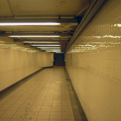 AURORA ,brazilian sun ,Cocorosie Werewolf,Sarah Blasko,......The New Path, cadav grim remix
