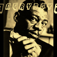 Jungle Blues Ft Little Walter
