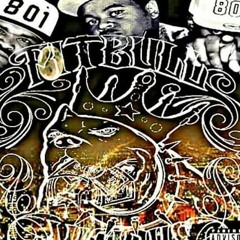 SL SLIM FTZ