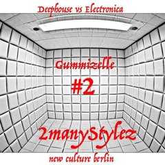 #2manyStylez - Gummizelle #2 (DH Vs Electronica) 2015 - 07 - 25m04
